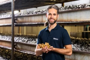 Read more about the article Limax