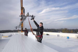 Read more about the article Mucon